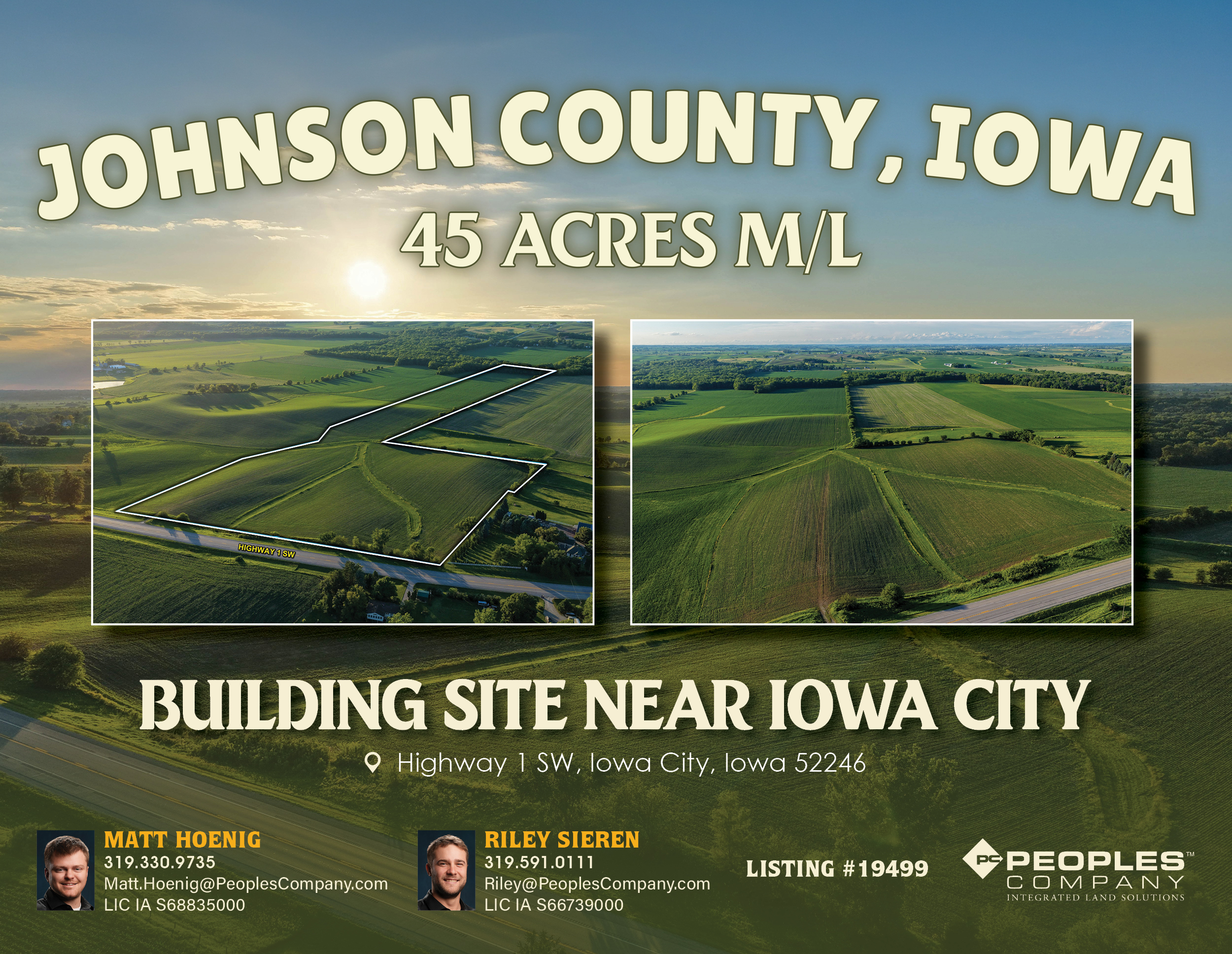 Listing #19499